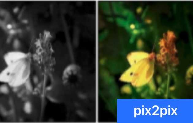 img-footer